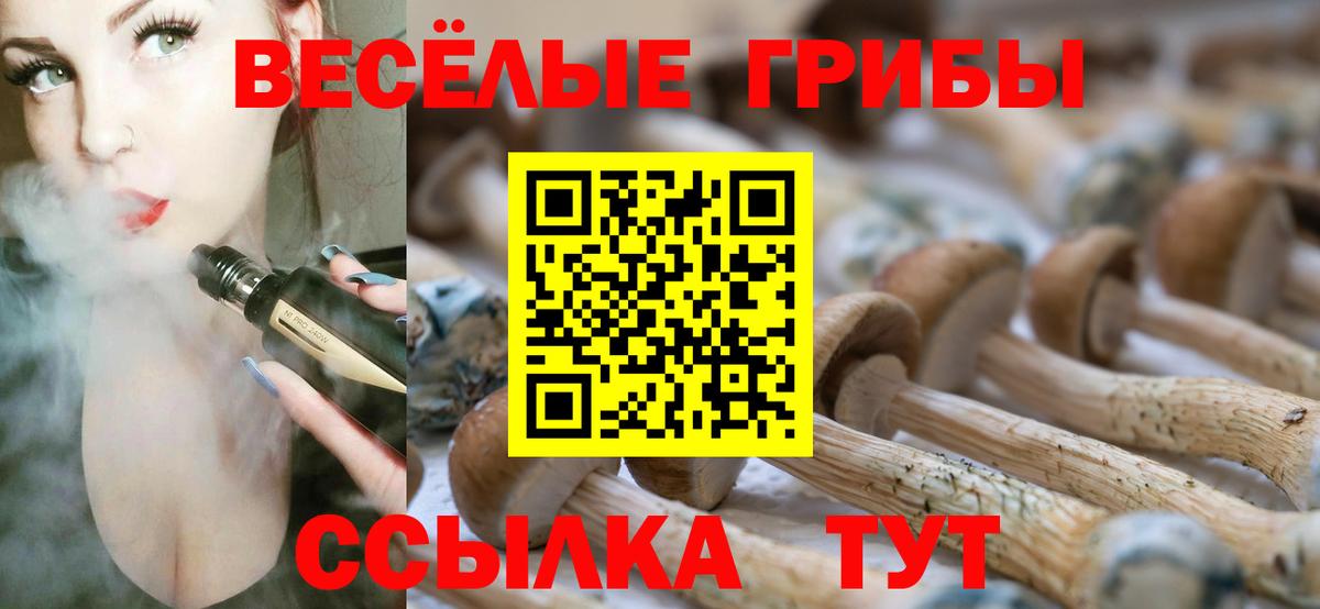 Галлюциногенные грибы Psilocybine cubensis  Вход с VPN  Тельмана 